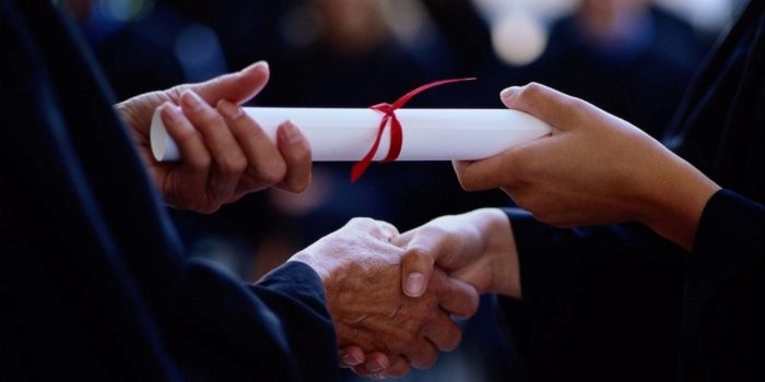  Kinesiology Degree